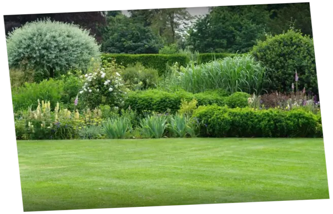 Mantenimiento de jardines