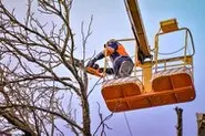 Desbroce fincas. Limpiezas parcelas-Tala y poda árboles Guadarrama