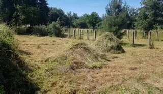 Desbroce y limpieza fincas Segovia Limpieza y desbroce fincas parcelas Segovia
