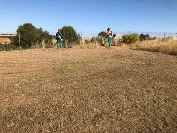 Desbrozamos y Desbroces de Fincas y parcelas Segovia y provincia San Cristobal, Segovia
