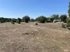 Toledo y provincia servicios de arboricultura