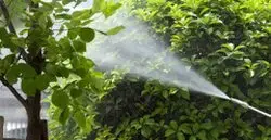 Fumigación control de plagas Fumigar