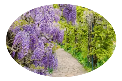 Mantenimiento de jardines