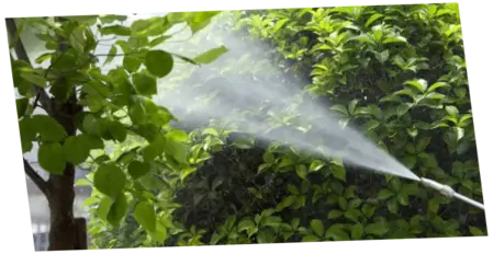 Fumigación Fumigar
