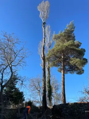 Empresa de taladores y podadores en Segovia