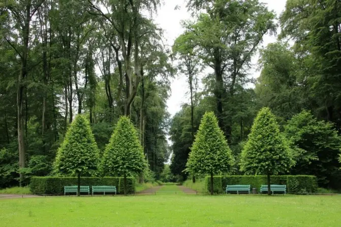 Servicio de Jardinería Mantenimiento de jardines
