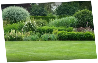 Servicio de Jardinería Mantenimiento de jardines