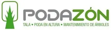 Tala de árboles en altura Talas de árboles