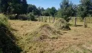 Desbroces de parcelas en Segovia y provincia Desbroces fincas parcelas tala y poda Segovia y provincia