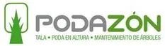 Taladores de árboles