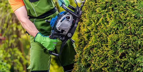 Limpiezas de Jardrines y mantenimientos Limpieza y mantenimiento de Jardines