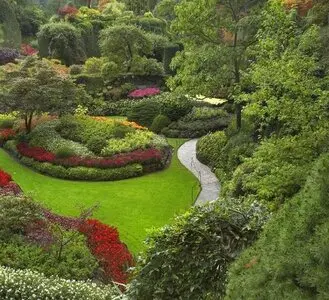 Arboricultura para un Paisaje Perfecto"