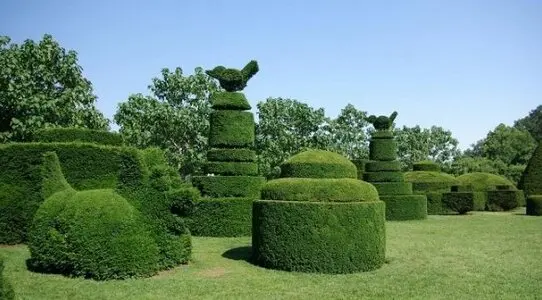 Mantenimiento de setos setos y jardines