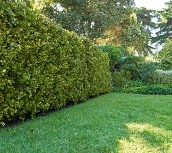 Jardines y jardineros a domicilio jardineros profesionales
