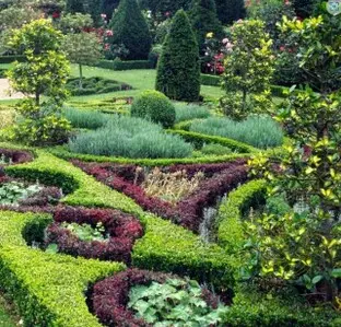 Expertos en Arboricultura a tu Alcance para un Jardín Impresionante Arboricultura a tu Alcance para un Jardín Impresionante