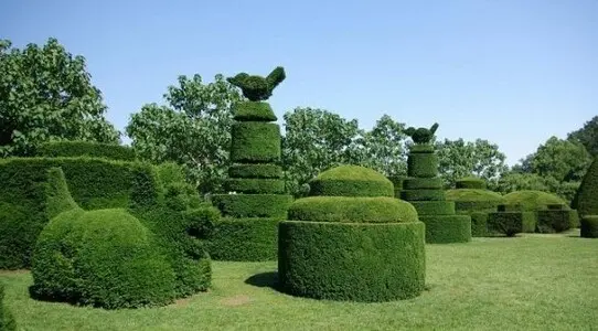 Deja que nuestros expertos transformen tu jardín en un oasis de belleza y salud Deja que nuestros expertos transformen tu jardín en un oasis de belleza y salud. ¡Pide tu consulta gratuita
